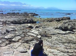 Me in New Zealand taking photos of seals and the lovely landscape